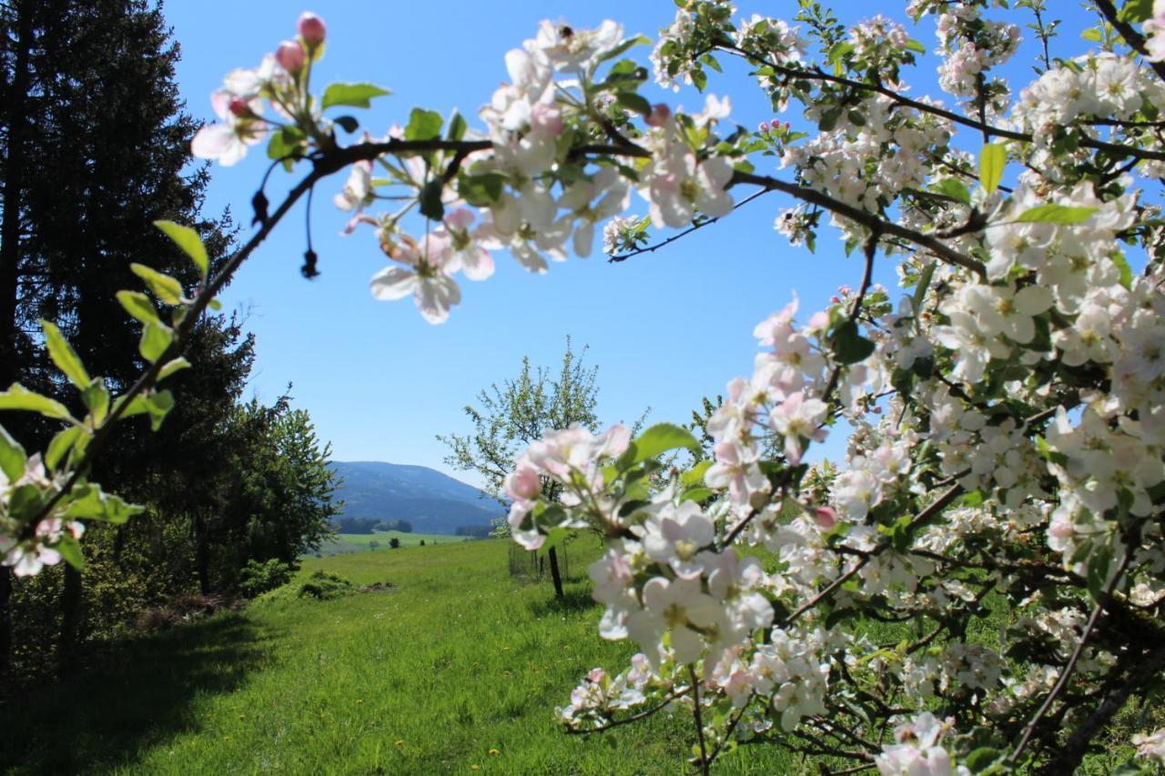 Moderne Ferienwohnung Mit Eigenem Garten Und Traumhaften Blick Wilhelmsthal المظهر الخارجي الصورة